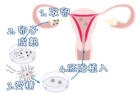 本院简介